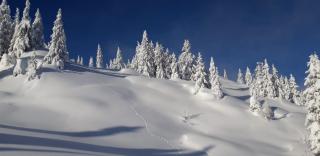 Haus Fichtenblick - 8