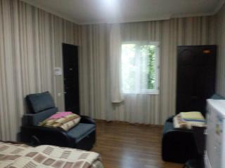 forest - 3