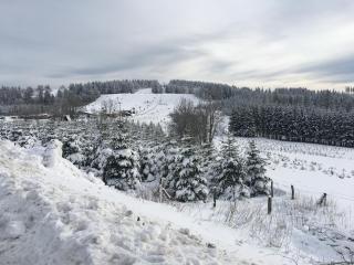 Appartement Am Astenkick Altastenberg - Winterberg - 5