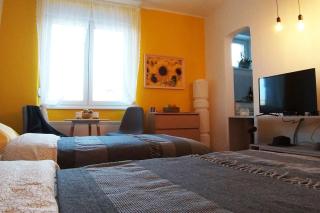 BGMignonne, so cozy, so relaxing, so near center - Belgrado - 3