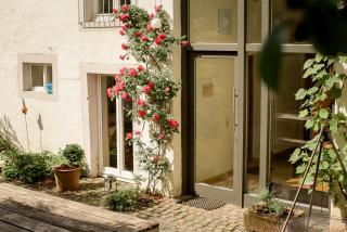 Nengshof Ferienwohnung Wildrose - Wißmannsdorf - 9