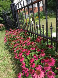 The Carriage House Flat - Downtown Paris Canada - 4