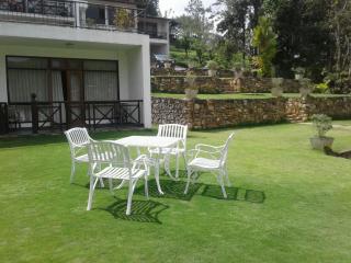 Alta Vista - 7