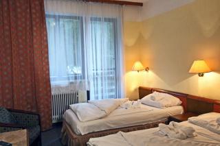 Hotel Medlov Depandance - Fryšava - 6