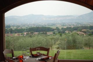 Tenuta Del Perugino - Bettona - 2