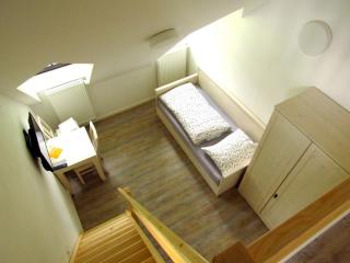 Rodinný hotel Pod Bílou skálou - České Křižánky - 1