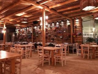 Cactus Beach Paros - Logaras - 4