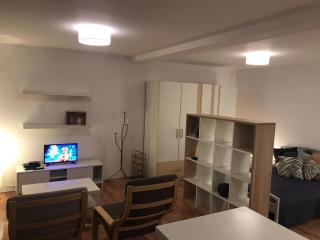 Charming Studio 10, Villa Veronica, City central - Arad - 6
