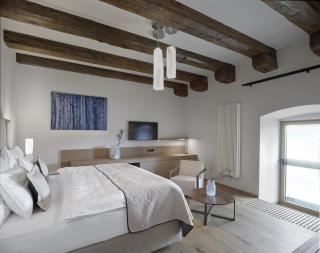 Lotrinský hotel - Velké Pavlovice - 8