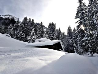 Alpenlodge - Willigen - 5