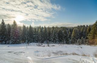Silver Mountain 3 Bedroom Apartment - Poiana Brasov - 6
