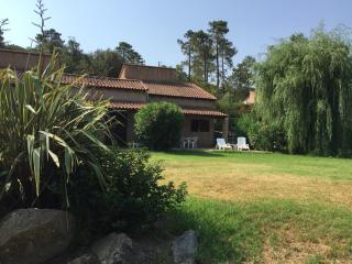Lavu Santu - Sainte-Lucie de Porto-Vecchio - 2