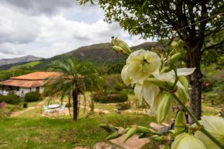 Altamira Eco Retreat - 7