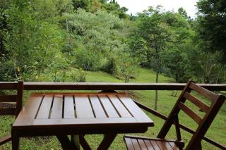 Piel de Timbó - Aristóbulo del Valle - 5