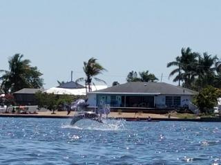 Bayview BnB - Matlacha - 6