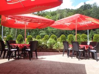Hotel Bazant - Karlovy Vary - 2