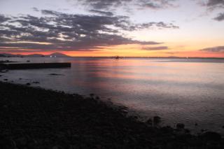 Blue Ribbon Dive Resort - Mabini - 8