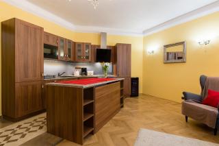 Downtown Luxury Apartment - Prague City Centre - Praga - 8