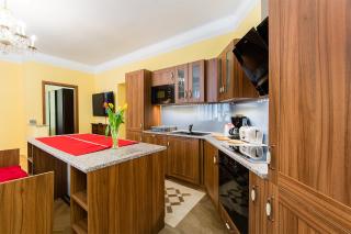 Downtown Luxury Apartment - Prague City Centre - Praga - 7