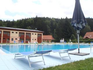 Hotel Bazant - Karlovy Vary - 7
