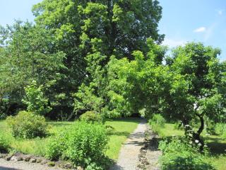 Romantic-Pension Albrecht - since 1901 - Hohenschwangau - 6