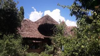 Kiloran Funzi House - 9