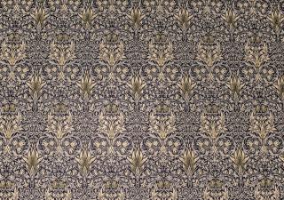 Domus Sibyllina, Galleria Umberto I - 6