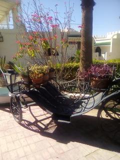 Hotel Riad L' Arganier D' Or - Ait el Rhazi - 5