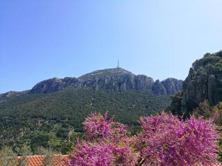 Hotel Sant'elene - 9