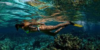 Golden Rod villa - Belle Mare - 1