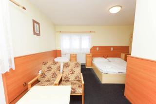 Sport Hotel Gejzirpark - Karlovy Vary - 3