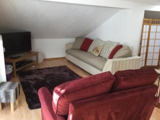 Alpine Blue Apartments - 4