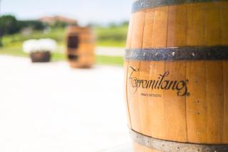 Hotel Torremilanos - Aranda de Duero - 3