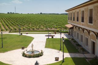 Hotel Torremilanos - Aranda de Duero - 9