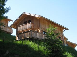 Alpenferienhaus Dachstein-West - Annaberg im Lammertal - 8
