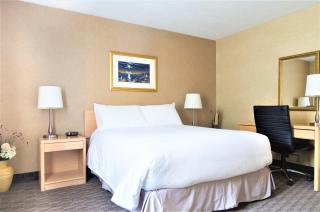 Mount Peyton Resort & Conference Centre - Grand Falls -Windsor - 0