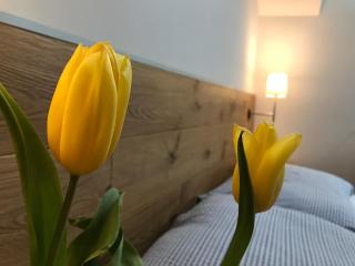 Penzion Biely Potok - Terchová - 4