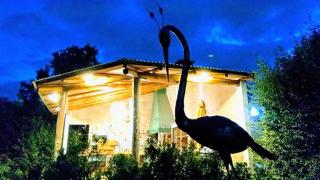 Tierra Mandarina Cabañas - 4