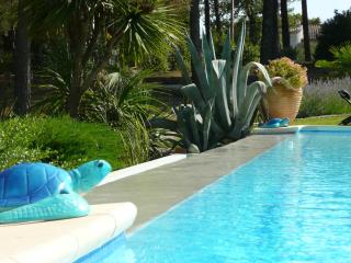 Les Pitounus - Les Arcs-sur-Argens - 9