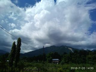 Aranya Mahal - Raimatang - 9