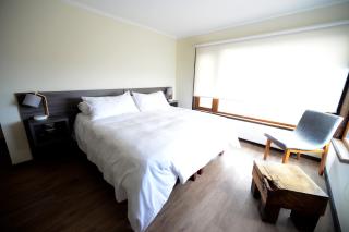 Hotel Patagonia B&B - Punta Arenas - 9