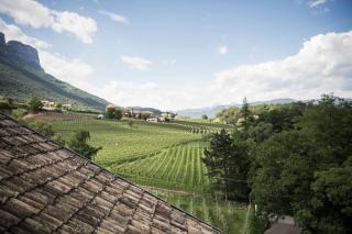 Hotel Weingut Stroblhof - Appiano sulla Strada del Vino - 3