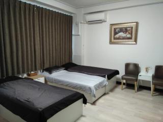 上野御徒町秋葉原まで徒歩圏-JR御徒町まで3分-Roomローゼ201 - Tokyo - 0
