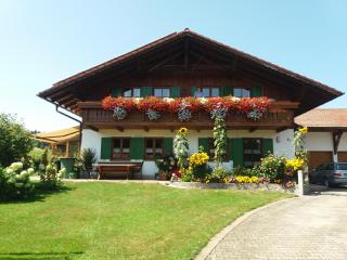 Ferienwohnung Dopfer - Eisenberg - 0