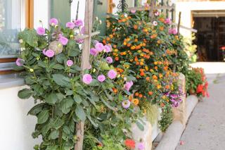 Ferienhof Kleber Bauernhof - mit KönigsCard - 6