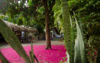 Hostal Corazón de Tagua - Palomino - 3