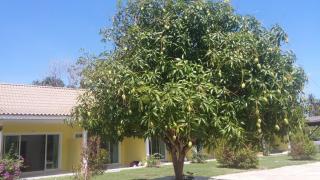 Thipburee Resort - 5