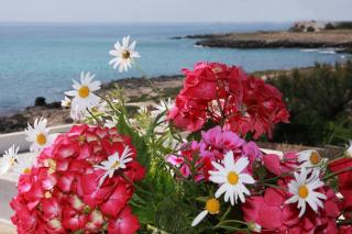 Casa Vacanze Fronte Mare - Capilungo - 5