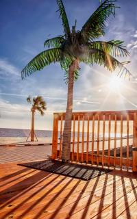South Beach Biloxi Hotel & Suites - Biloxi - 1