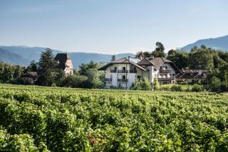 Hotel Weingut Stroblhof - Appiano sulla Strada del Vino - 0